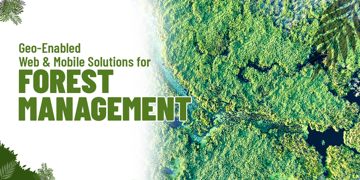 GIS FOR FOREST MANAGEMENT